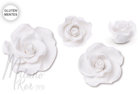 Fehér cukorrózsa szett (17 darabos)