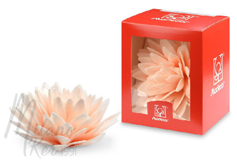 Barackvirág színű ostyavirág, 1 darab